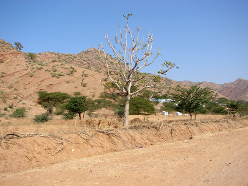 bleak-earth-and-blue-skies1.jpg