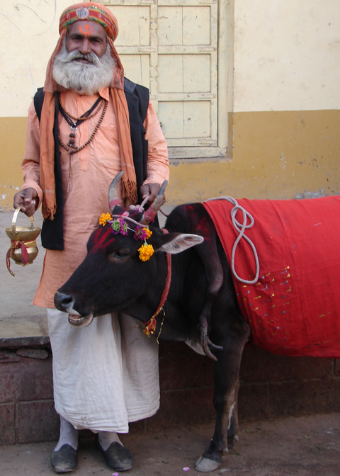 one-man-and-his-calf.jpg
